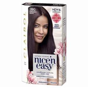 Clairol Nice N Easy 2bg Burgundy Black