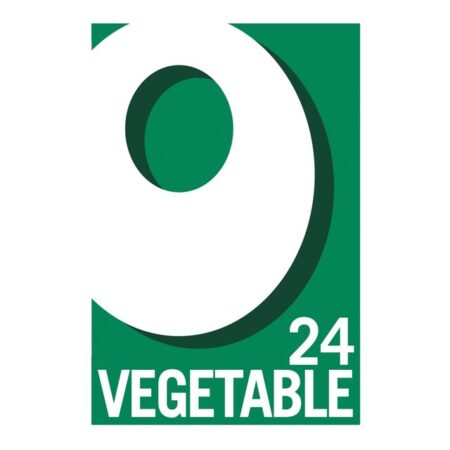 Oxo Vegetable Stock Cubes 24s 142g