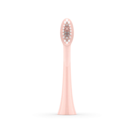 SONIC+ BRUSH HEADS ROSE GOLD 8PK