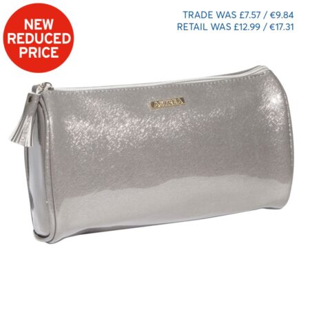 LA FUENTE LARGE COSMETIC BAG SILVER