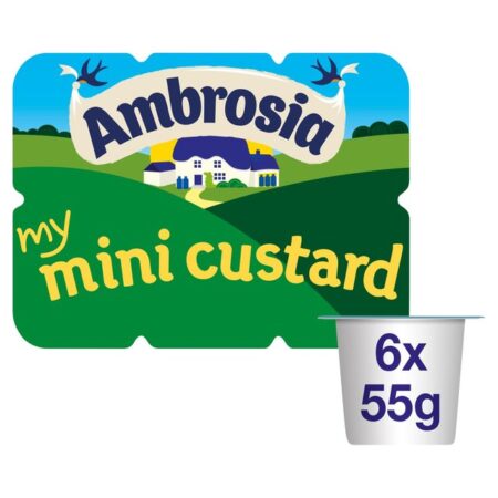 Ambrosia My Mini Custard Pot 330g