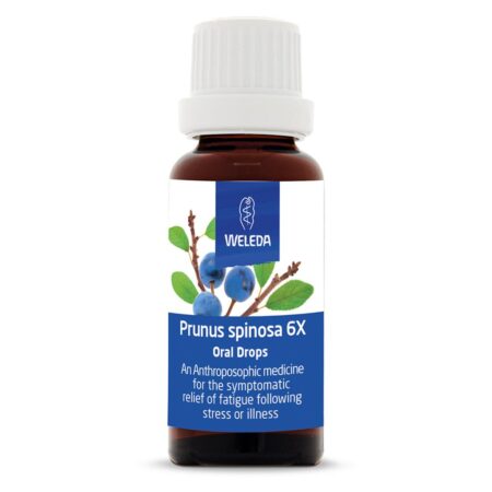 Prunus spinosa 6X Oral Drops